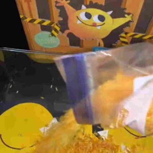 Rice Seek and Find; Nibbles the Book Monster (book)