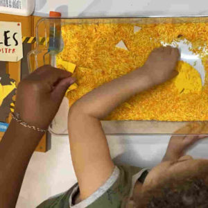 Rice Seek and Find; Nibbles the Book Monster (book)